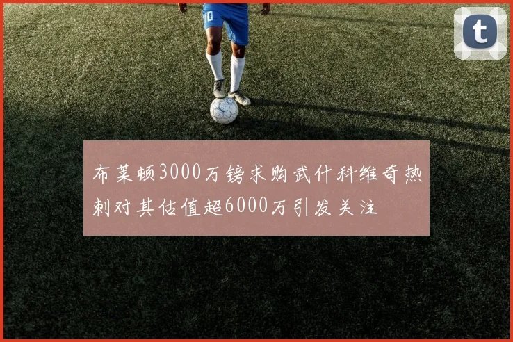 布莱顿3000万镑求购武什科维奇热刺对其估值超6000万引发关注