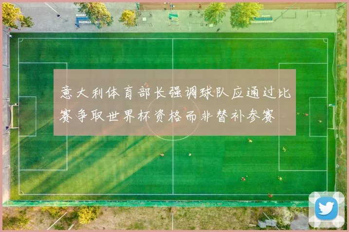 意大利体育部长强调球队应通过比赛争取世界杯资格而非替补参赛