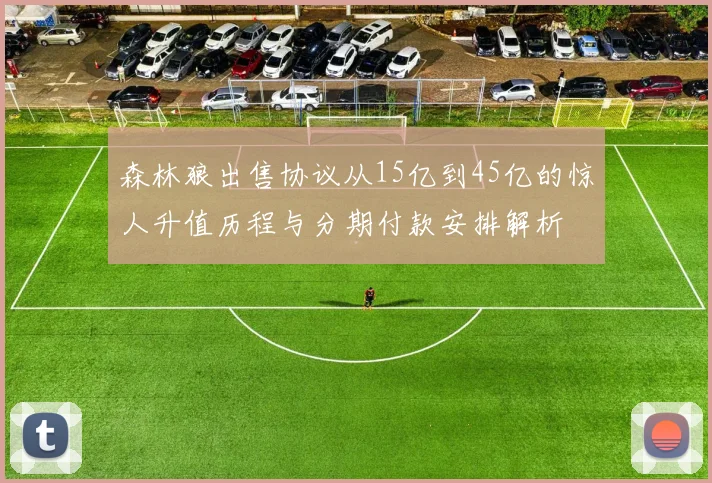 森林狼出售协议从15亿到45亿的惊人升值历程与分期付款安排解析